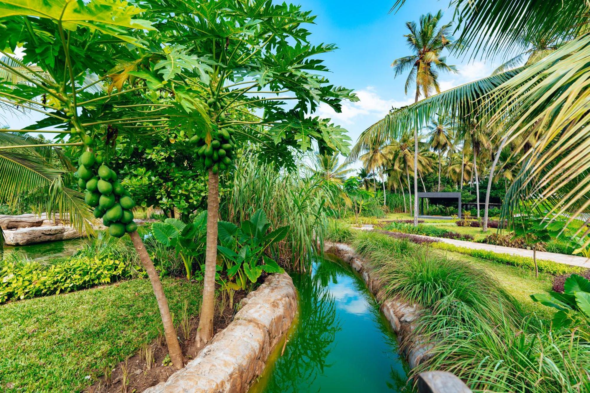 Ycona Luxury Resort Uroa Exterior foto